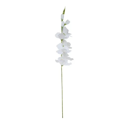 Gladiolus  - vetlička  77 cm white K321